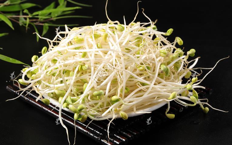 無公害綠色豆芽，怎么生產出來的？全套生產過程如此方便智能